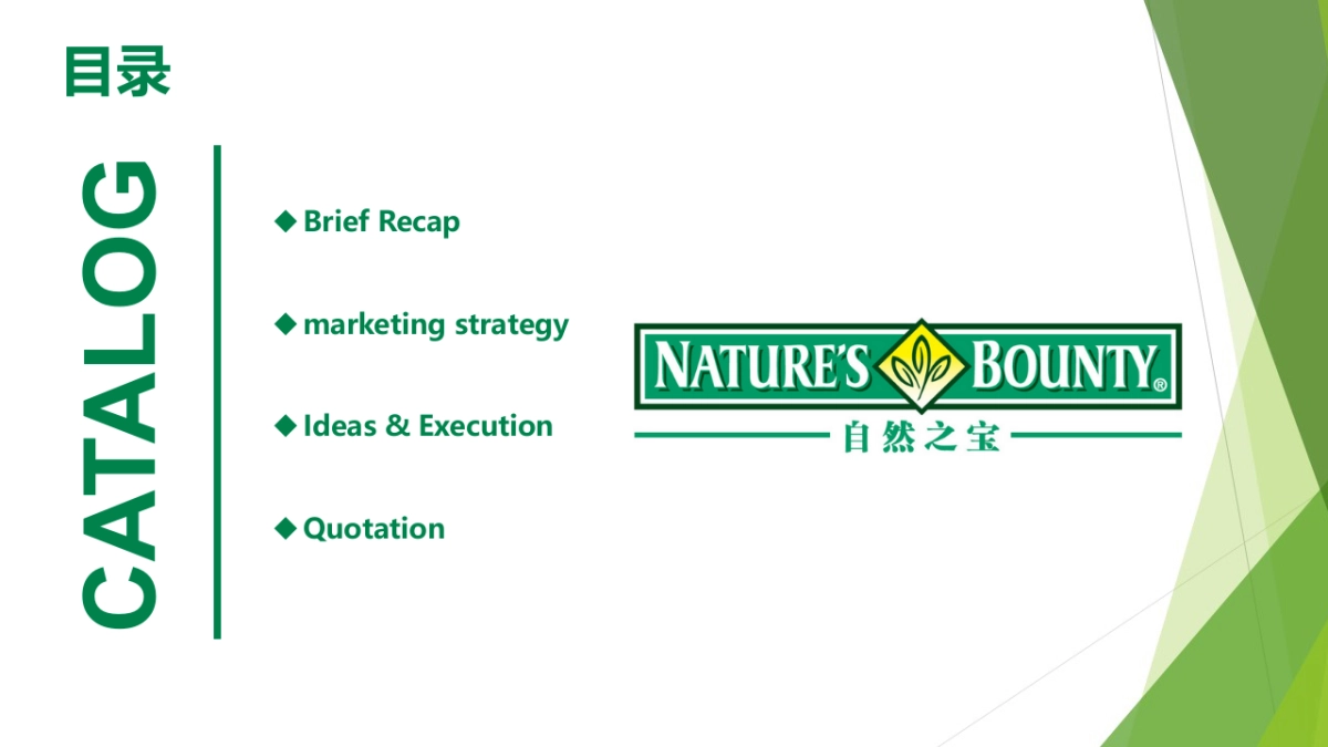 自然之宝(保健品)线上推广Nature’s Bounty Digital Plan by Arkr_第2页