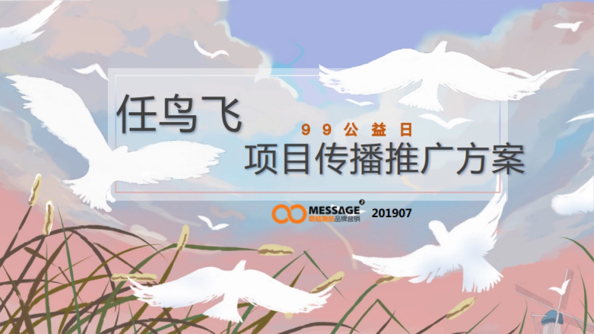 99公益日“任鸟飞”项目推广传播项目简版_第1页