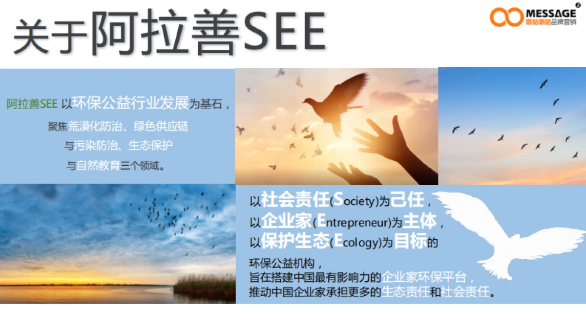 99公益日“任鸟飞”项目推广传播项目简版_第5页