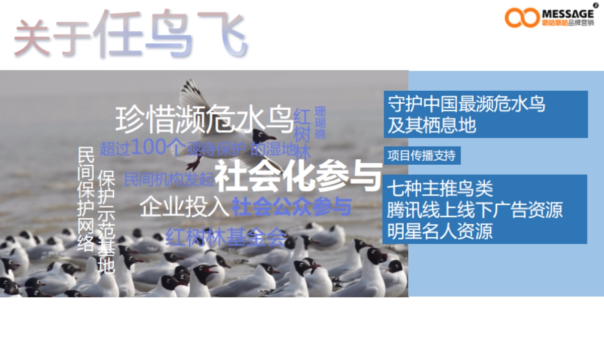 99公益日“任鸟飞”项目推广传播项目简版_第6页