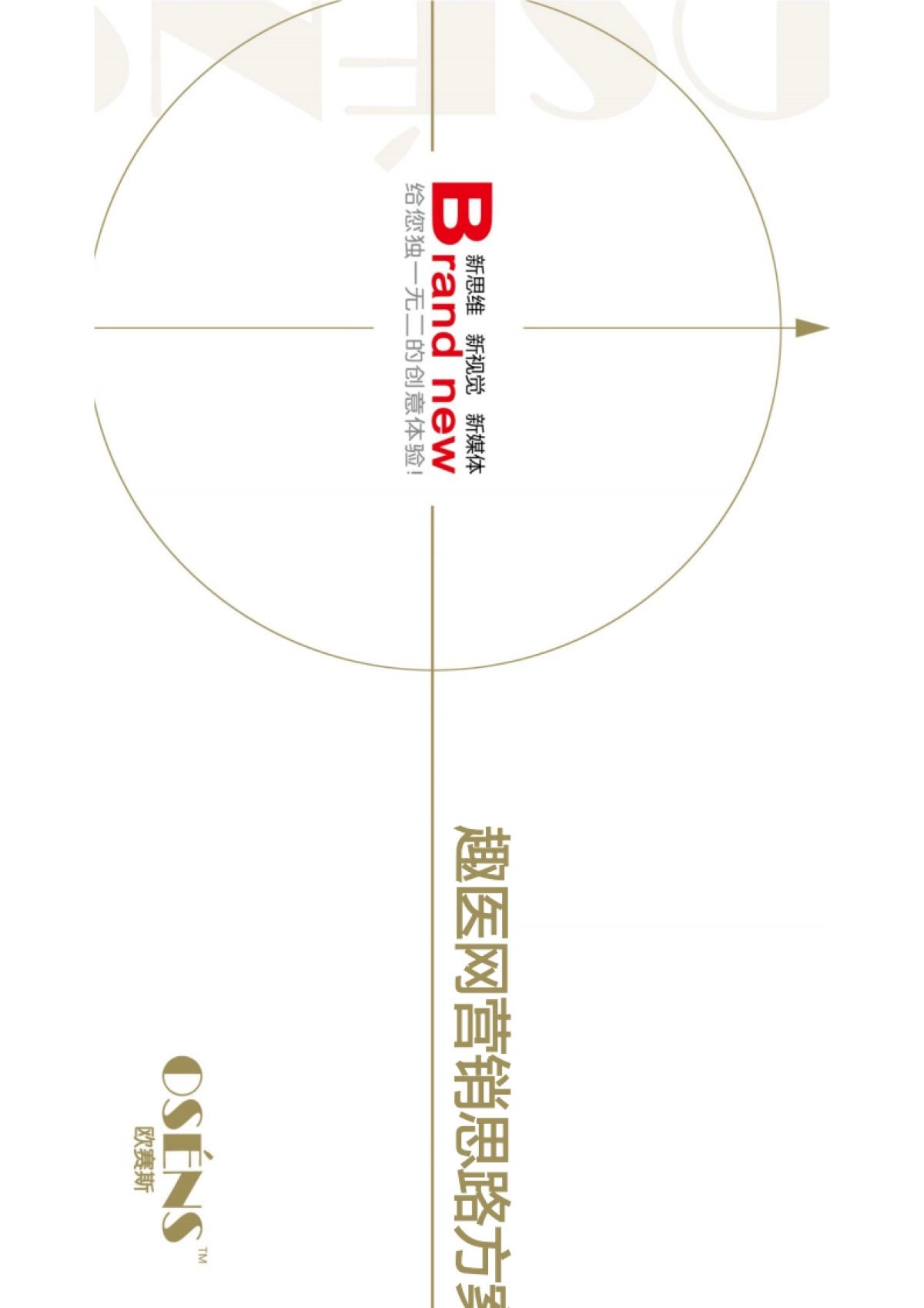 210.欧赛斯趣医网网络传播互联网推广事件营销创意策划思路稿_第1页