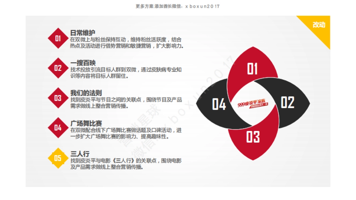 999皮炎平家族网络传播方案_第3页