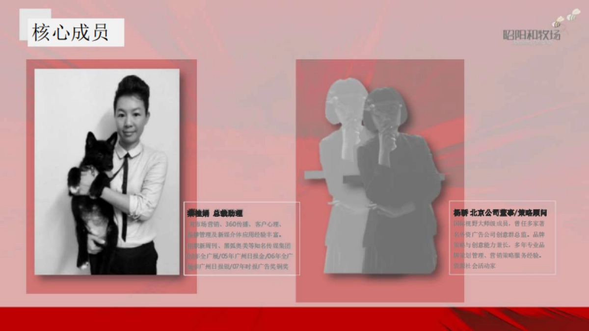 和牧场-越秀南沙天际豪邸推广传播整合方案 _第7页