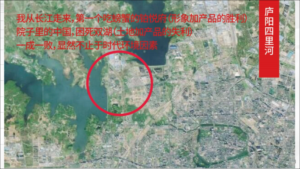 和声机构-合肥龙湖天字系豪宅年传播提案_第9页