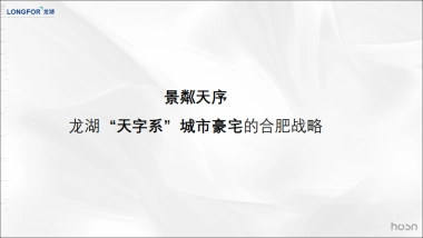 和声机构-合肥龙湖天字系豪宅年传播提案
