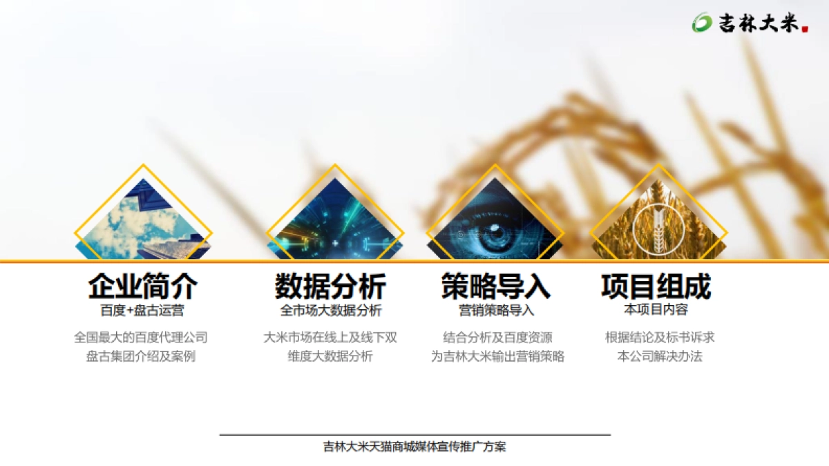 吉林大米天猫商城宣传推广项目方案_第3页
