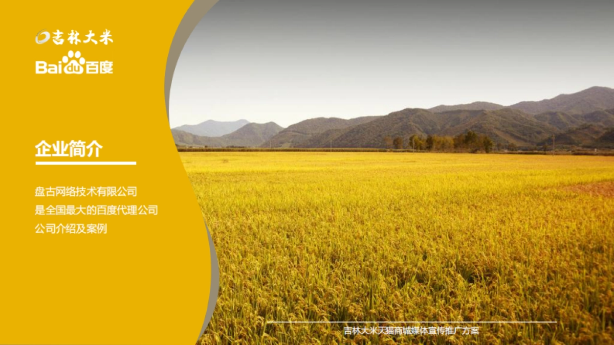 吉林大米天猫商城宣传推广项目方案_第4页