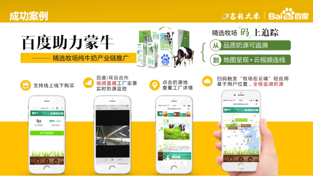 吉林大米天猫商城宣传推广项目方案_第9页