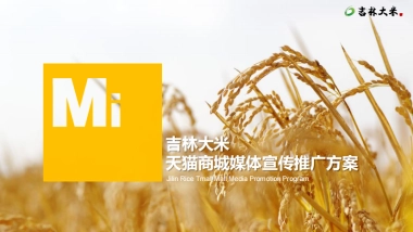 吉林大米天猫商城宣传推广项目方案