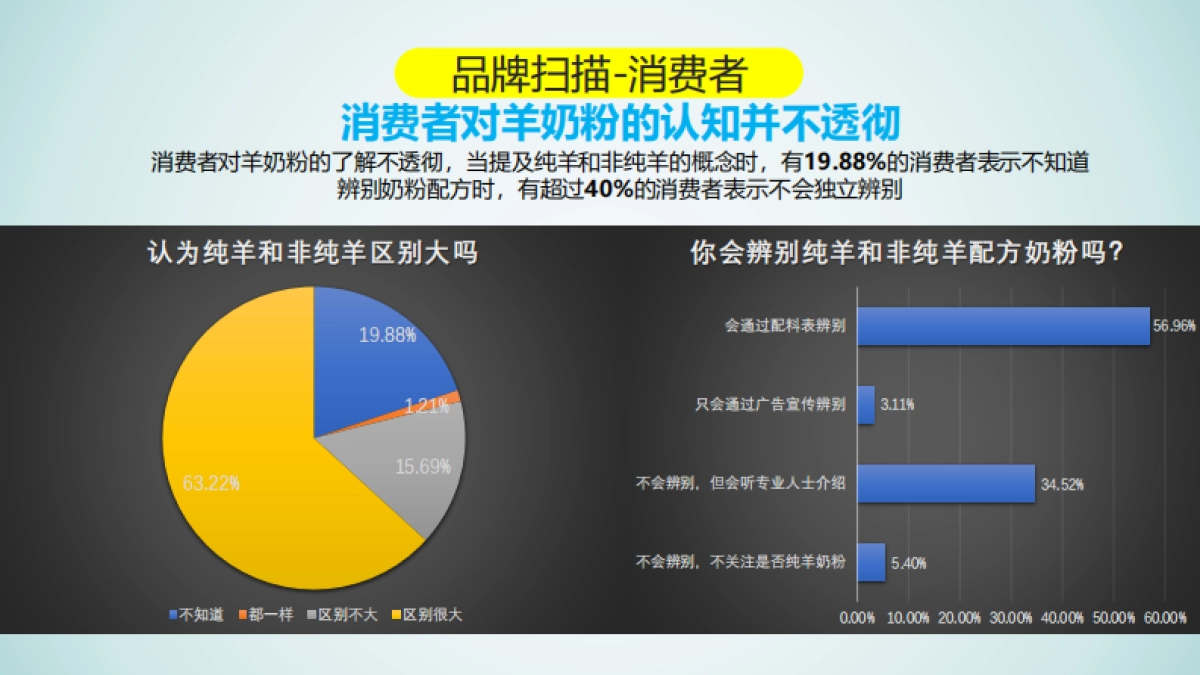 佳贝艾特口碑传播执行规划方案_第5页