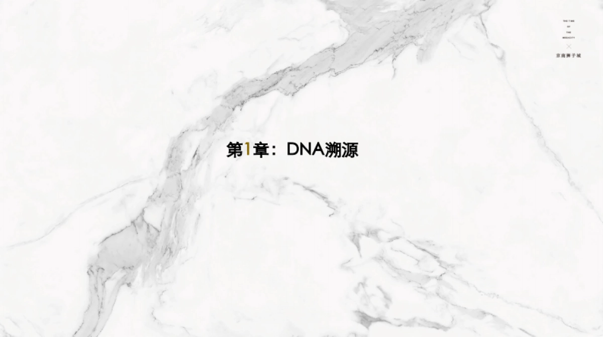 京南狮子城2020年度推广方案_第3页