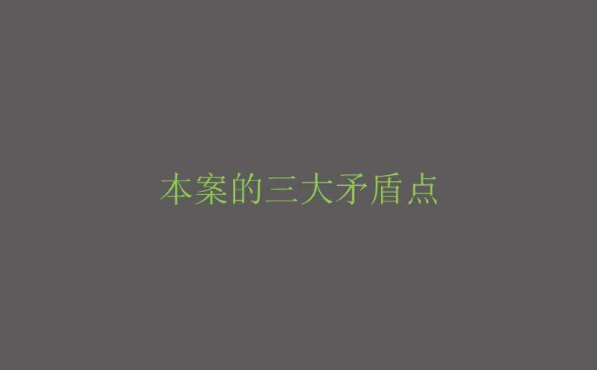 例外传播-万科春风十里广告推广提报_第4页