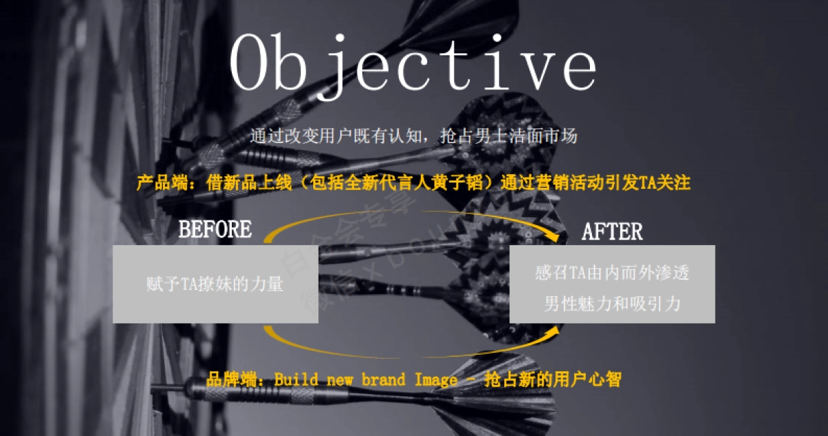 凌仕LYNX社会化传播方案_第4页