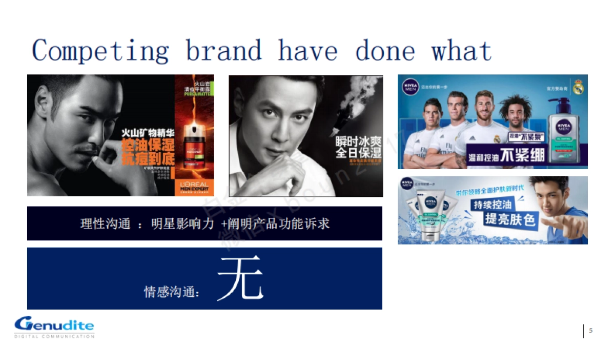 凌仕LYNX社会化传播方案_第5页