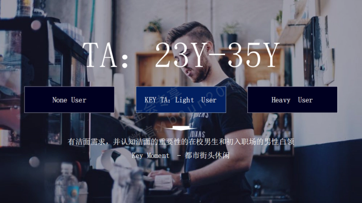 凌仕LYNX社会化传播方案_第8页