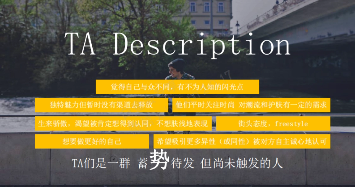 凌仕LYNX社会化传播方案_第9页