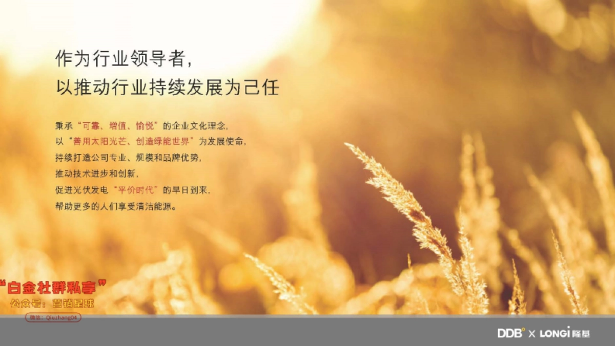 隆基年度传播策略和创意提案-20170220-90P_第9页