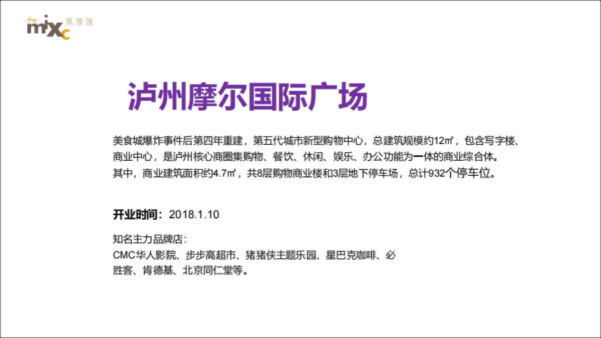 泸州华润万象汇2018-2019年度整合推广方案_第10页