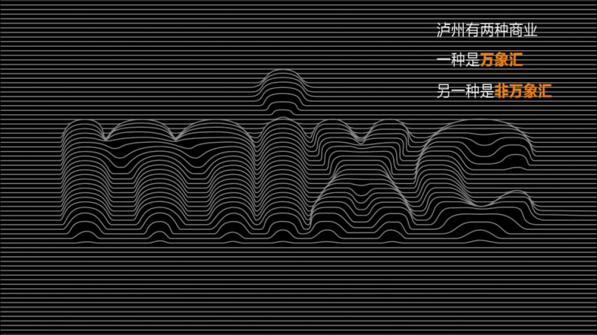 泸州华润万象汇2018-2019年度整合推广方案_第2页