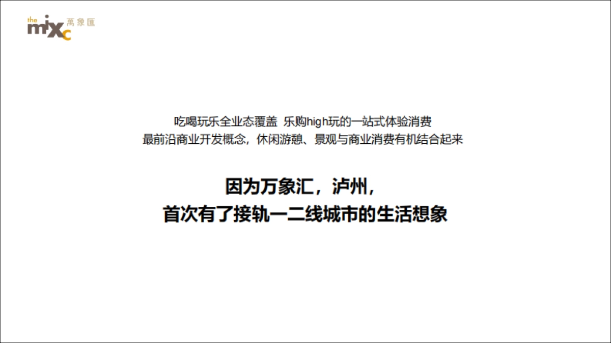 泸州华润万象汇2018-2019年度整合推广方案_第5页