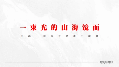 2022博思堂-中南山海壹品营销推广策略方案