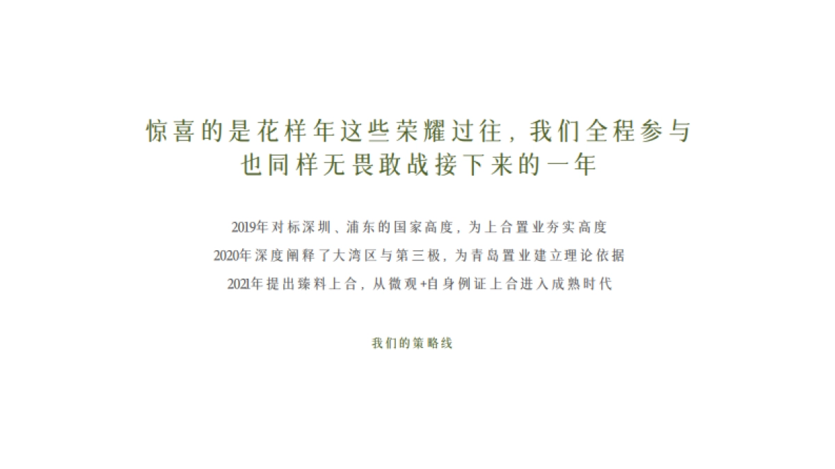 2022花样年碧水湾故事线推广方案_第10页