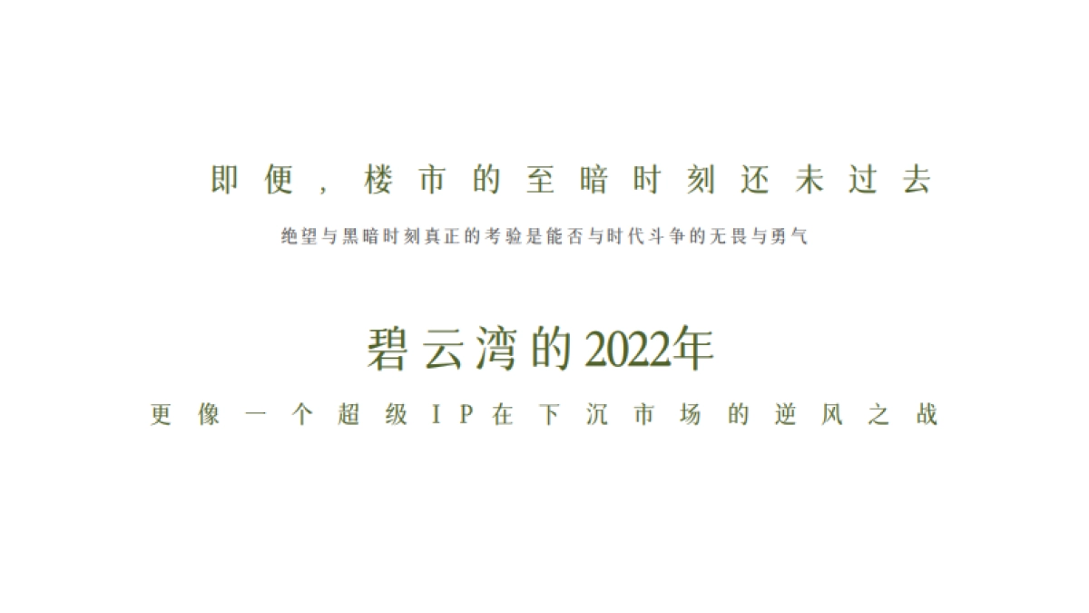 2022花样年碧水湾故事线推广方案_第5页