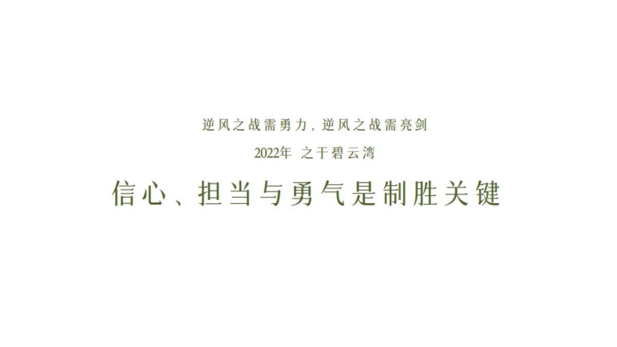 2022花样年碧水湾故事线推广方案_第6页