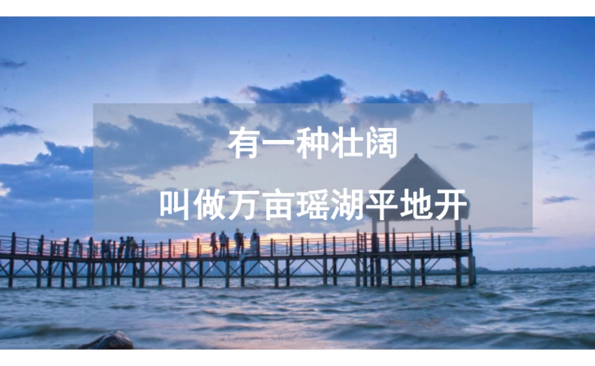 2022华邦观湖别院整合推广思路_第4页