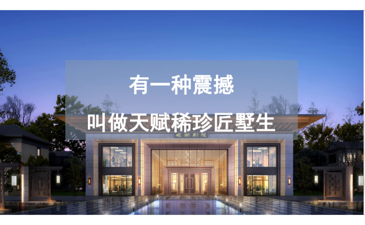 2022华邦观湖别院整合推广思路_第5页