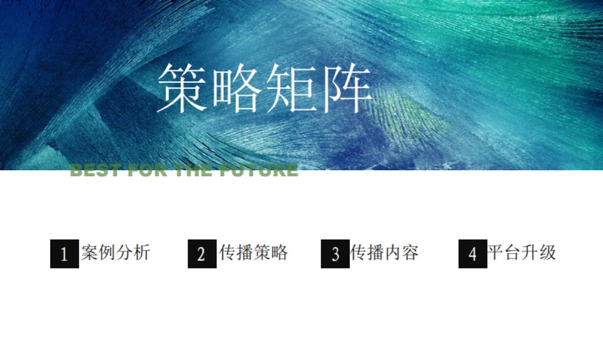 2022环球融创曹山未来城新媒体推广方案_第6页