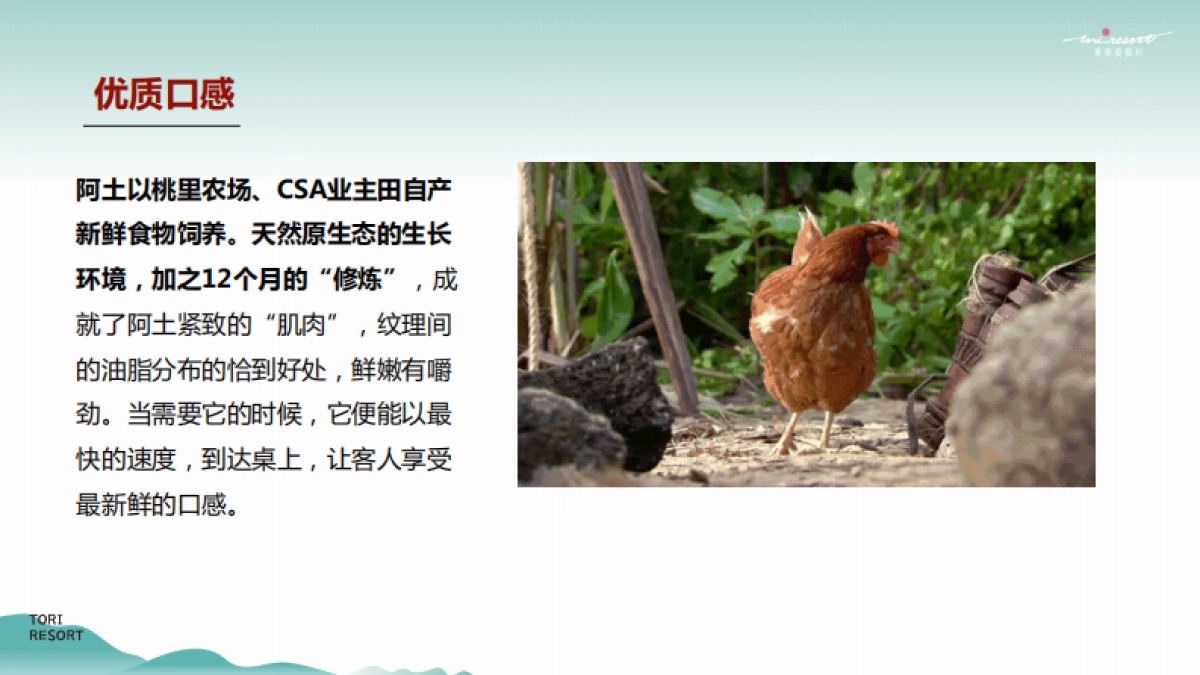 2022桃园农村-桃胶鸡故事线传播推广方案_第10页