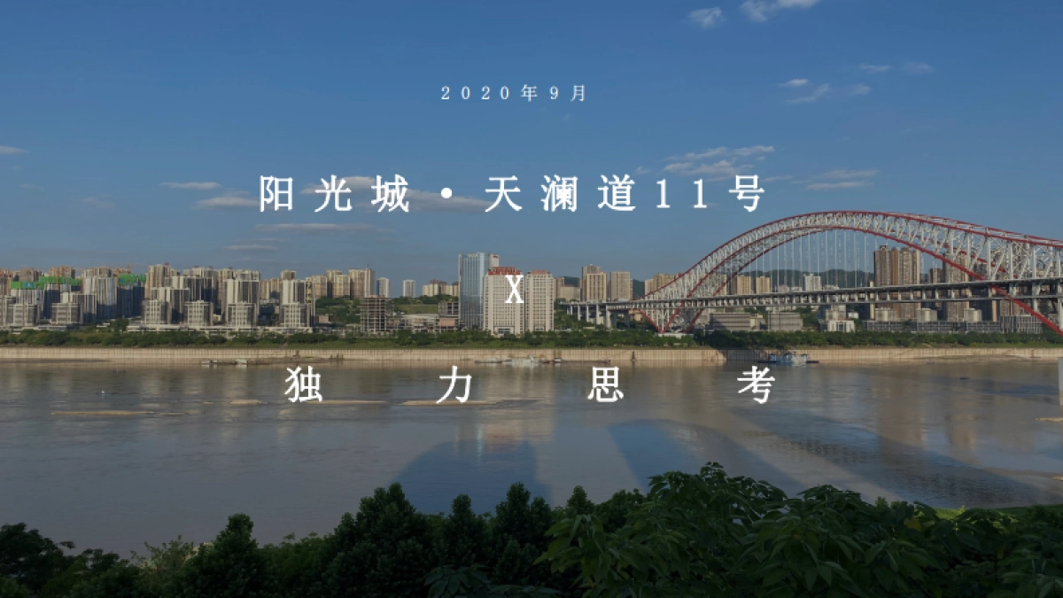 2022阳光城大平层项目年度策略推广方案_第2页