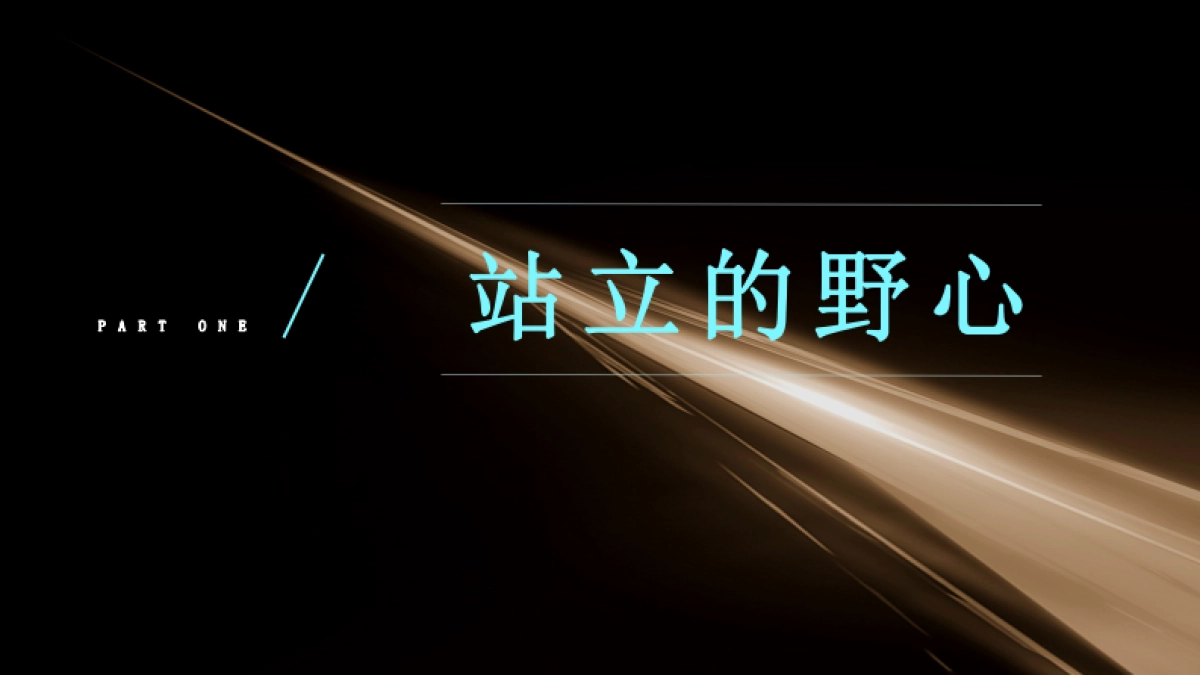 2022阳光城大平层项目年度策略推广方案_第4页