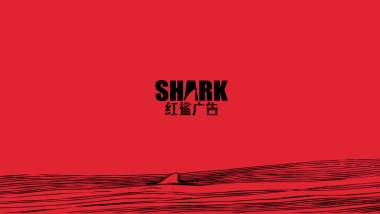 APP品牌推广方案