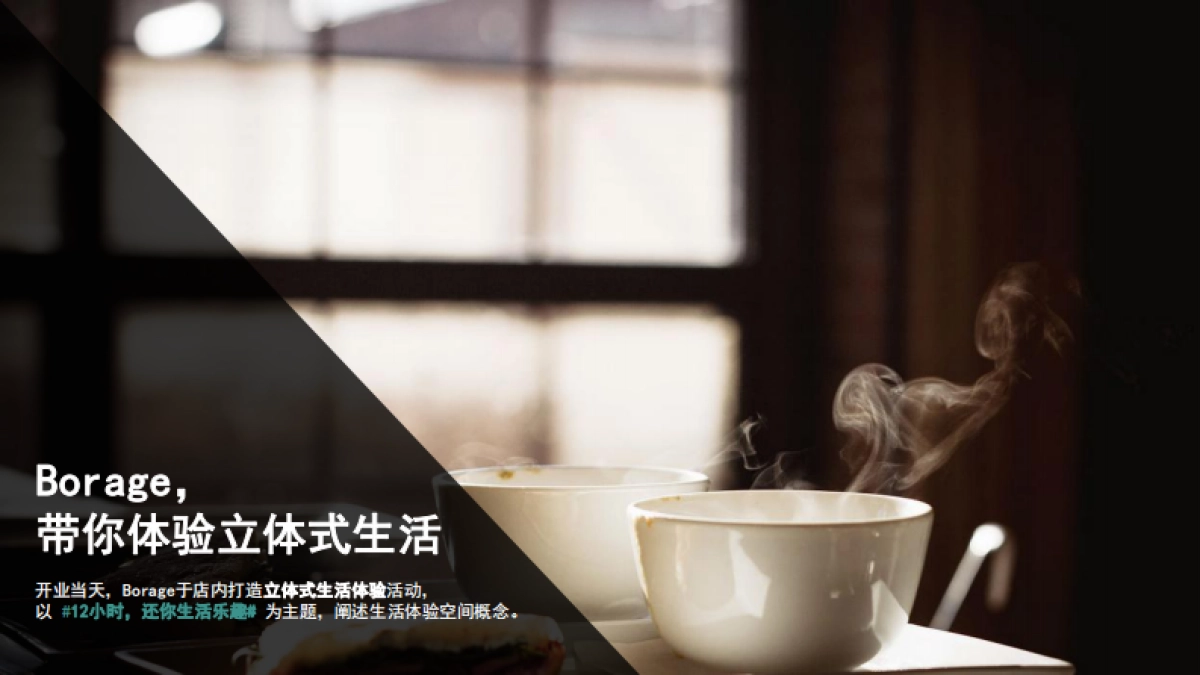 BORAGE开业事件传播规划_第3页