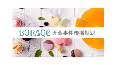 BORAGE开业事件传播规划