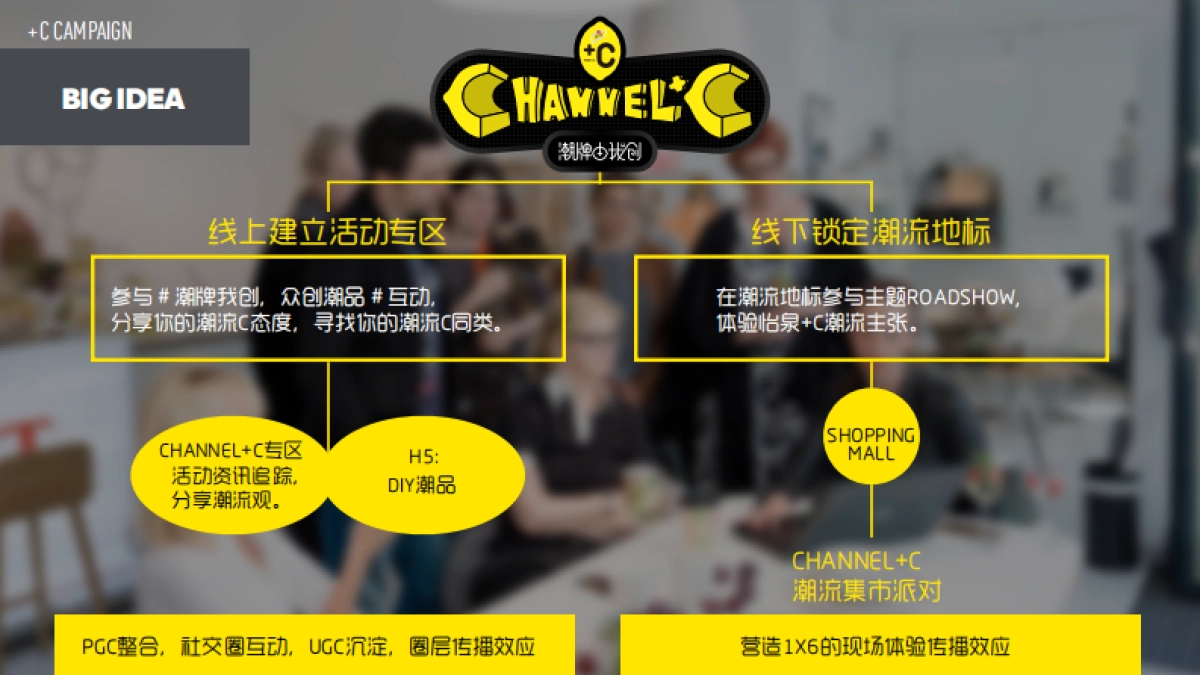 campaign线上+线下整体传播方案_第6页