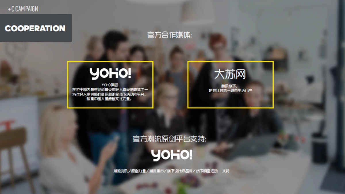 campaign线上+线下整体传播方案_第7页