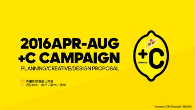 campaign线上+线下整体传播方案