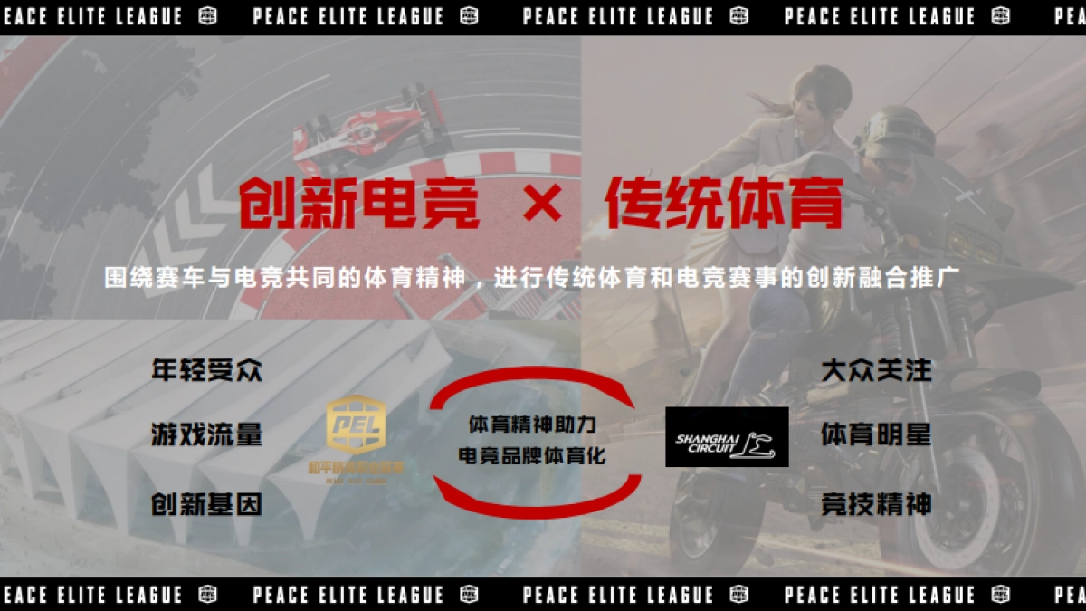 PEL和平精英上海国际赛车场跨界传播案例_第4页