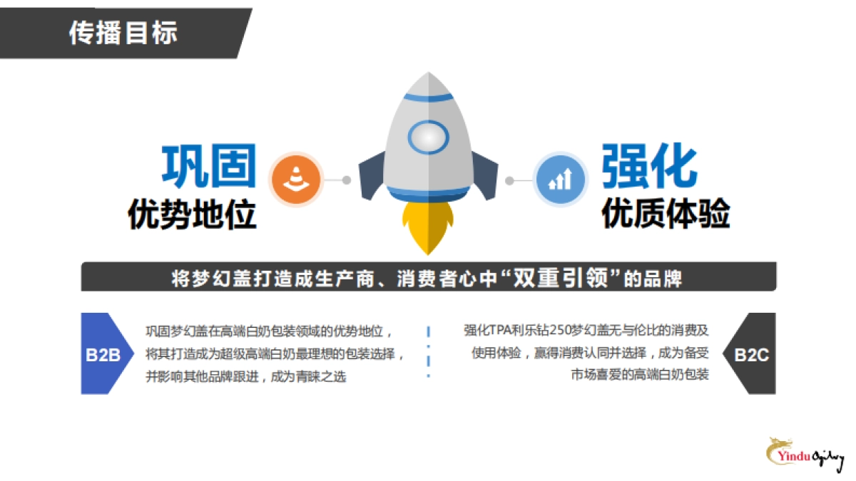 TPA利乐钻梦幻盖策略创意传播方案_第10页