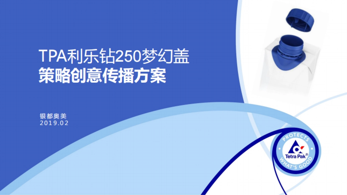 TPA利乐钻梦幻盖策略创意传播方案_第2页