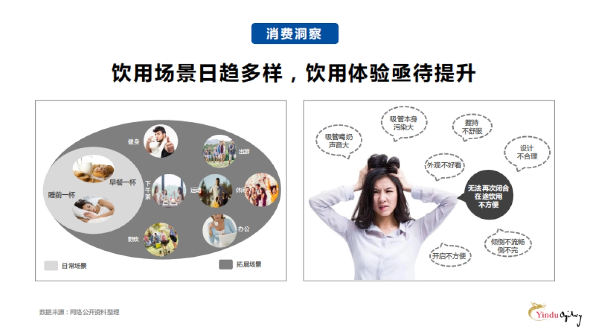 TPA利乐钻梦幻盖策略创意传播方案_第6页