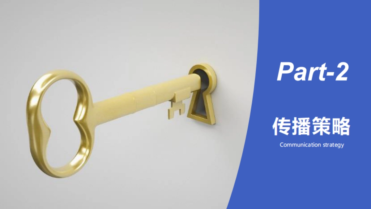 TPA利乐钻梦幻盖策略创意传播方案_第9页