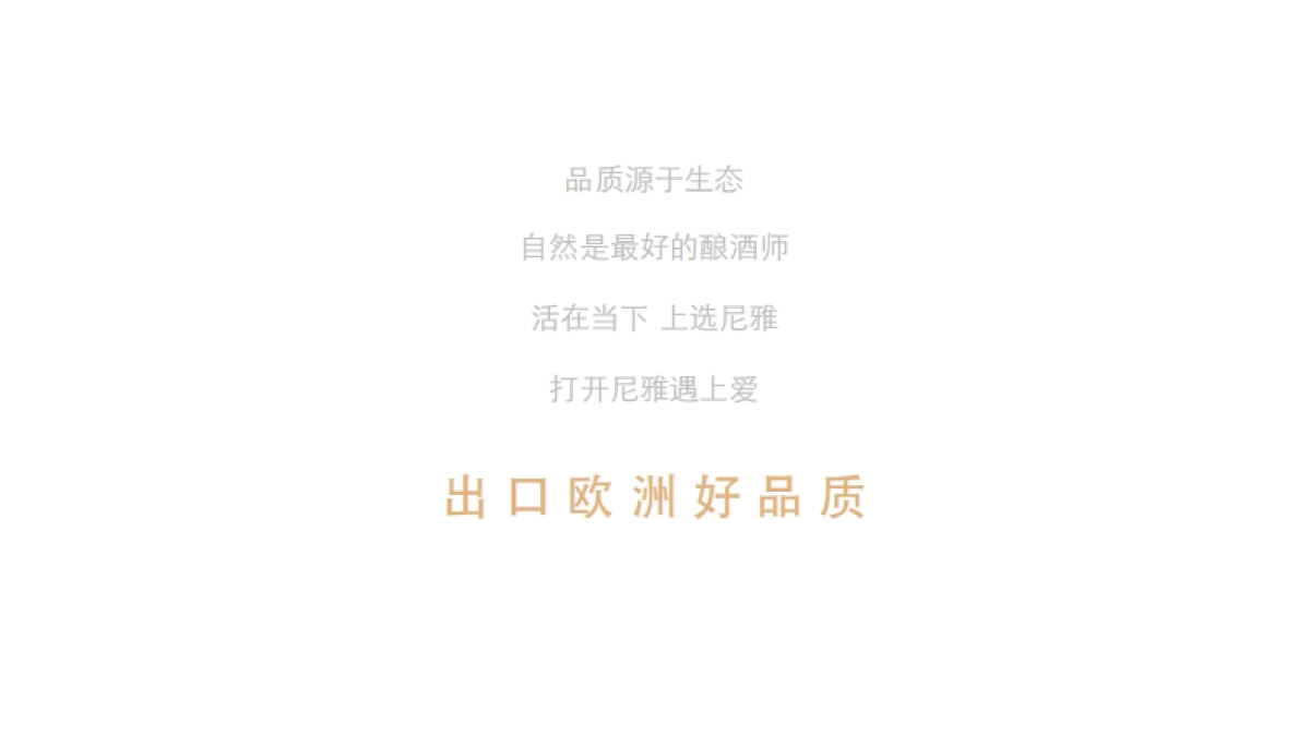 奥美尼雅红酒年度传播方案_第10页