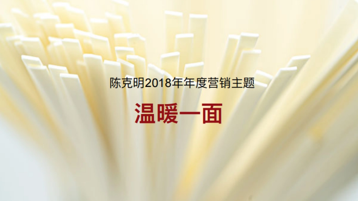 陈克明2018年整合营销传播方案_第10页