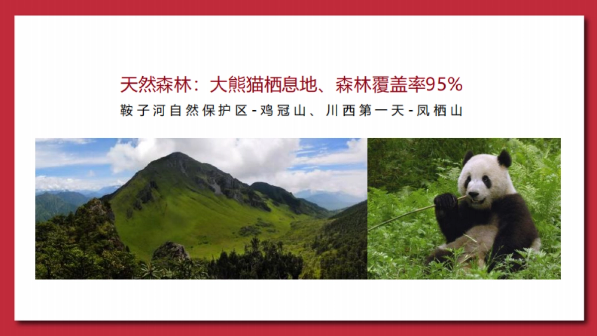 崇州旅游2019年度推广策略_第7页