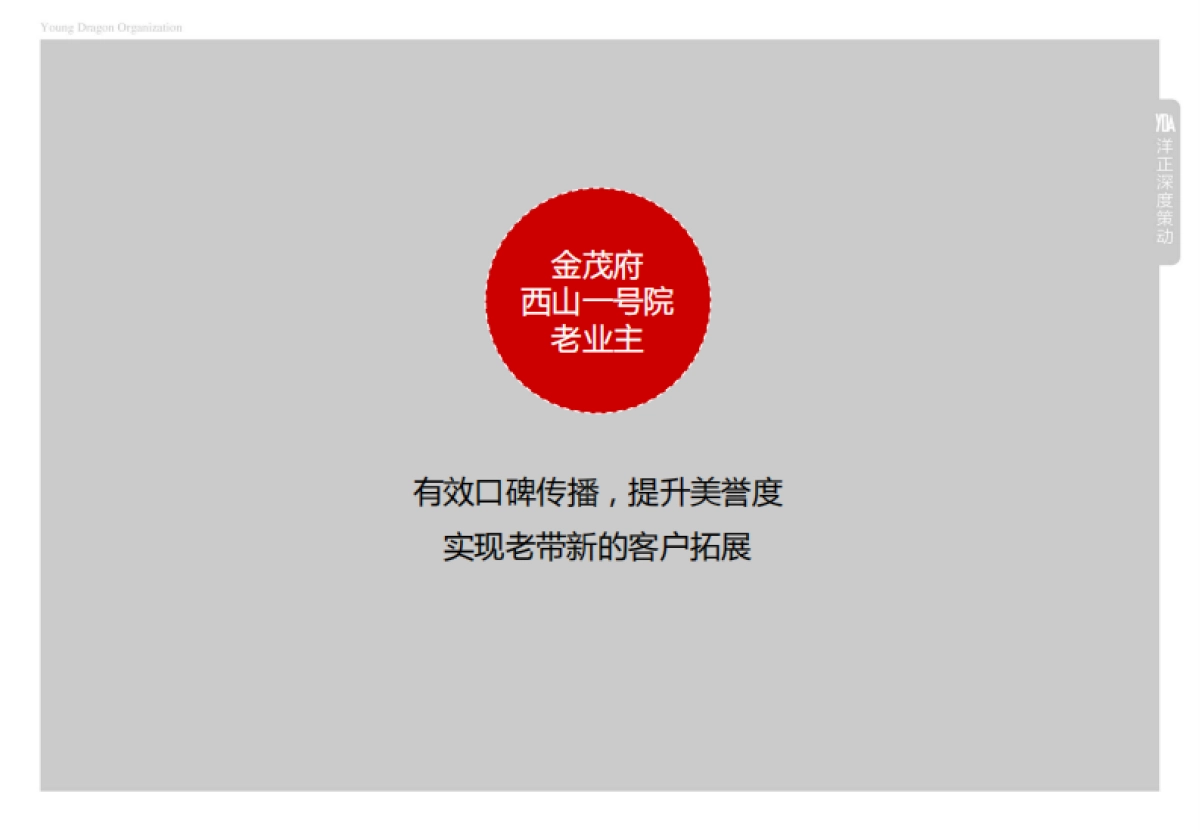 洋正-望京·金茂府全年推广执行案_第5页