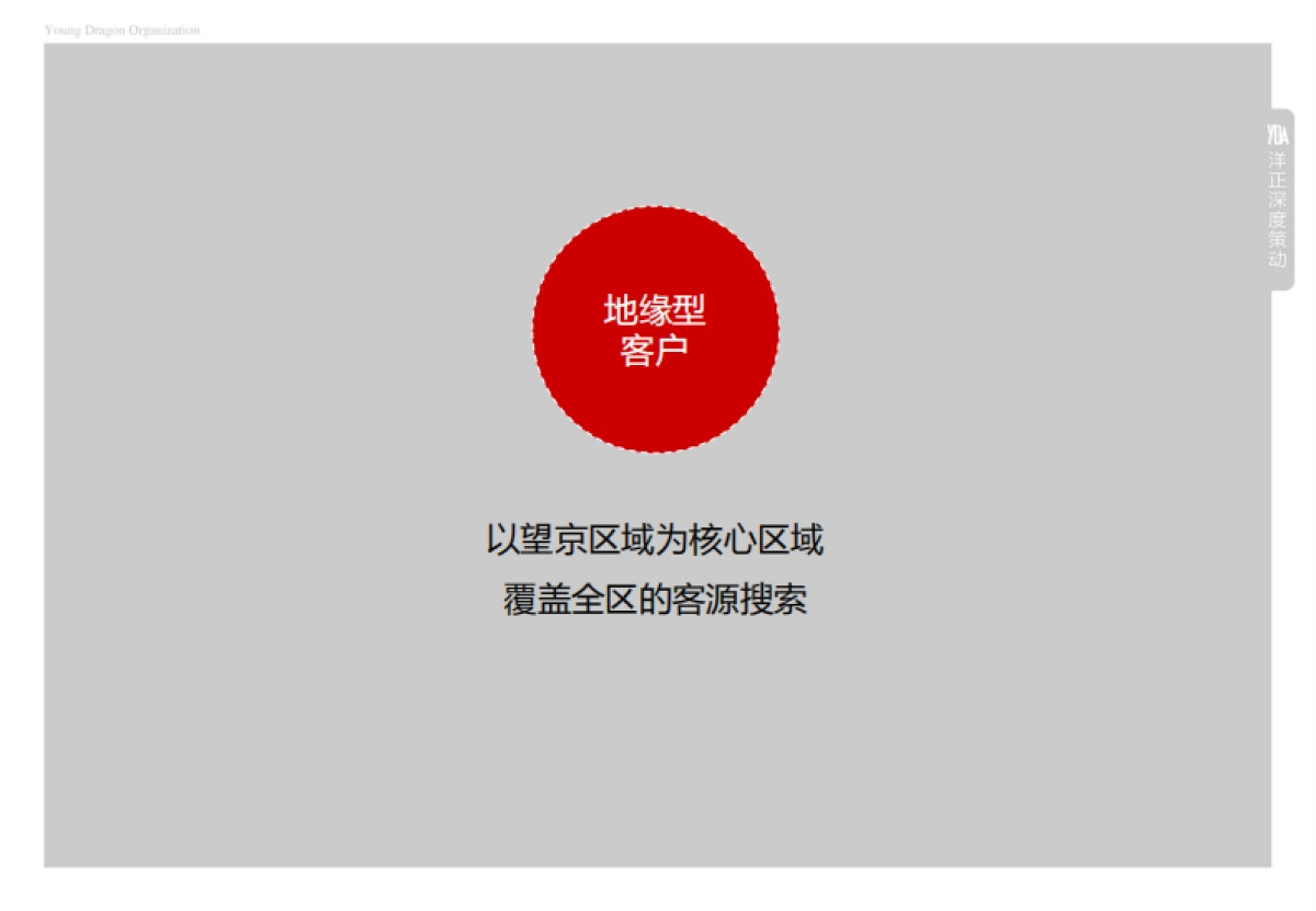 洋正-望京·金茂府全年推广执行案_第9页